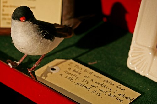 cabinet_of_lost__found_20_small.jpg.500x500_q85