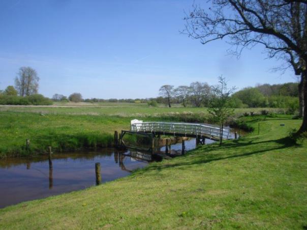 HEMELVAARTSDAG BEVRIJDINGSDAG DONDERDAG 05.05.2016 ZON EN WARM HOPPA (3)